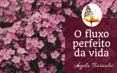 O fluxo perfeito da vida – Diários da Mudança