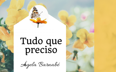 Tudo que o preciso – Diários da Mudança