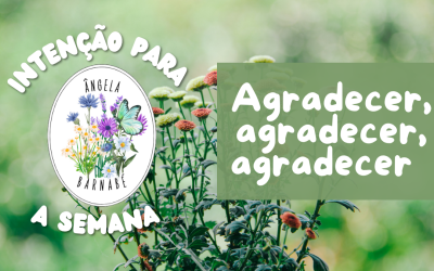 Agradecer, agradecer, agradecer – Intenção para a semana