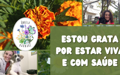 Estou grata por estar viva e com saúde